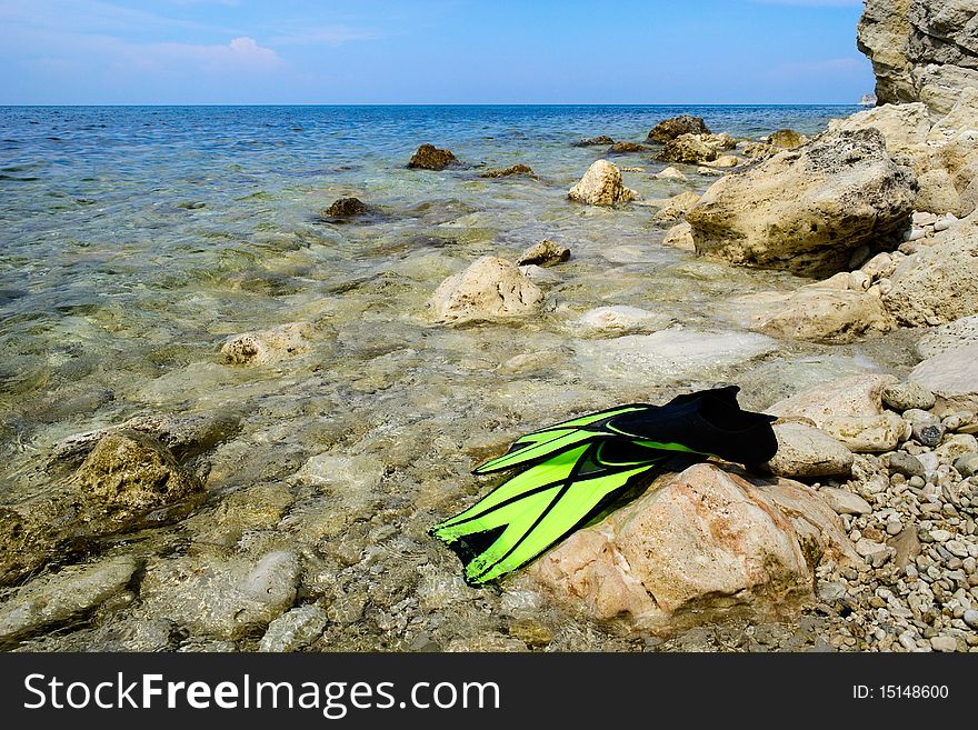 Flippers on seaside