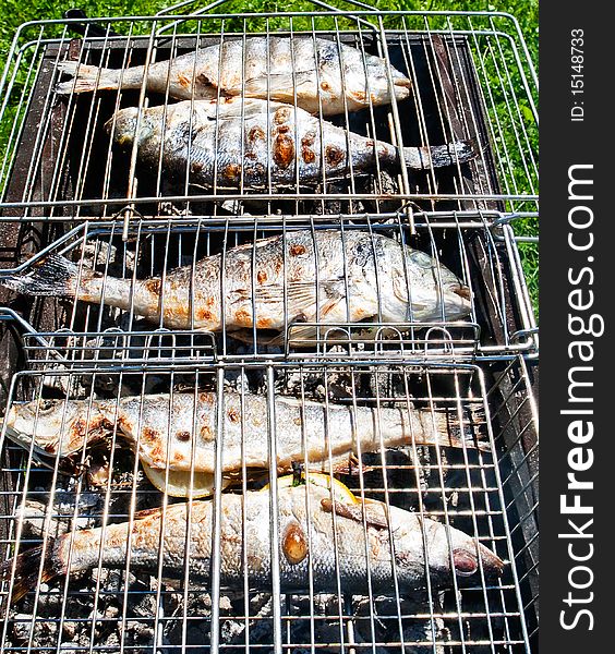 Fish On A Grill