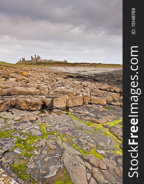 Dunstanburgh Castle And Seaweed