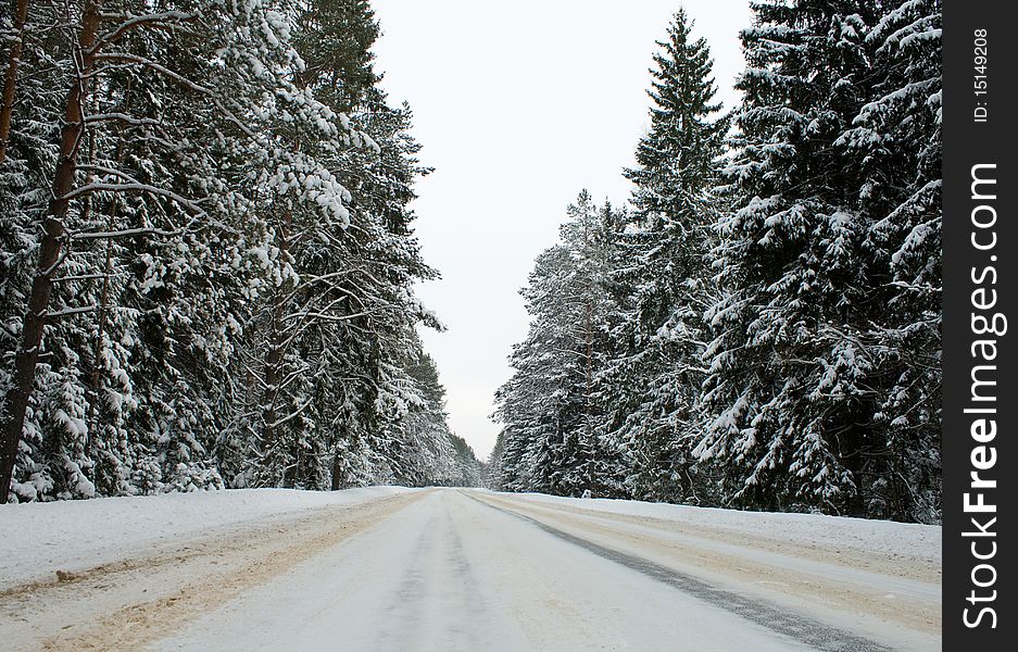 Long country road in winter