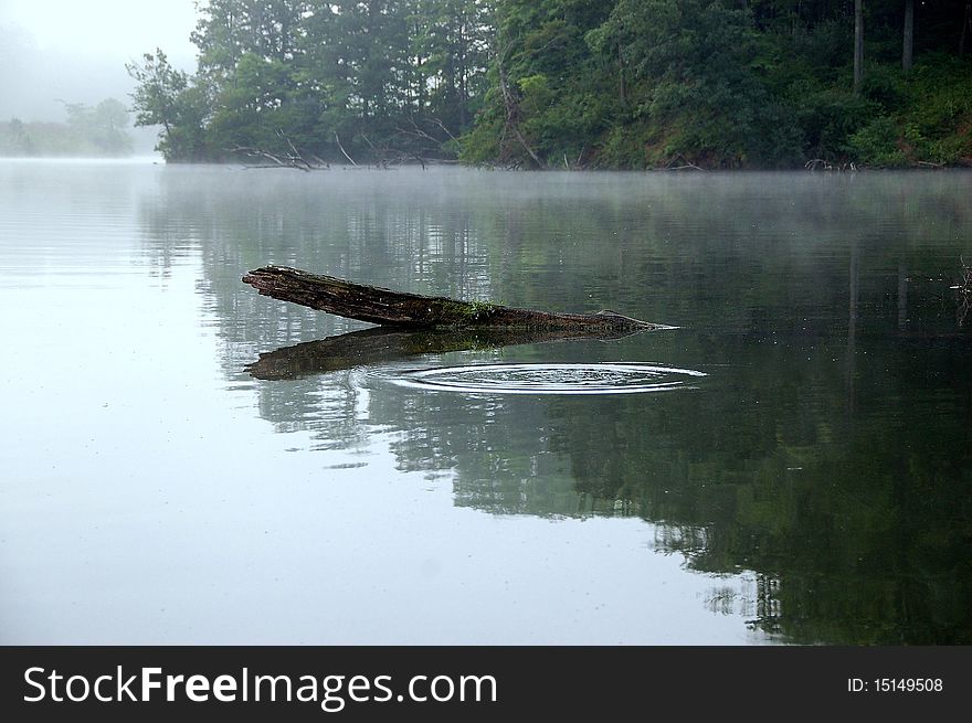 Early morning mist over a placid lake. Early morning mist over a placid lake