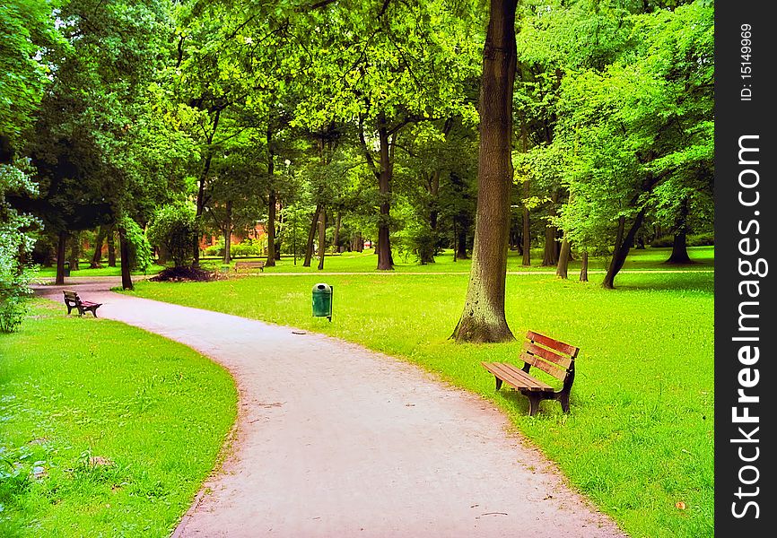 Park in spring time on a sunny day