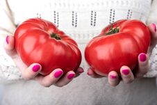 Two Ripe Tomatoes In The Palms Of The Girl. Pink Manicure On The Nails Of The Girl Royalty Free Stock Photos