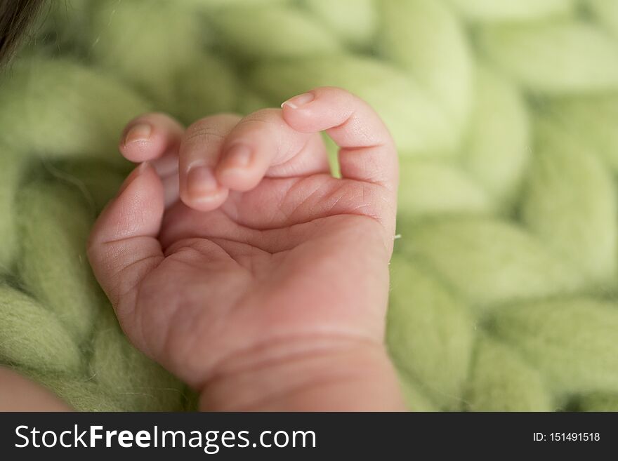 Baby hand in newborn photography, little hand of a newborn baby. Baby hand in newborn photography, little hand of a newborn baby