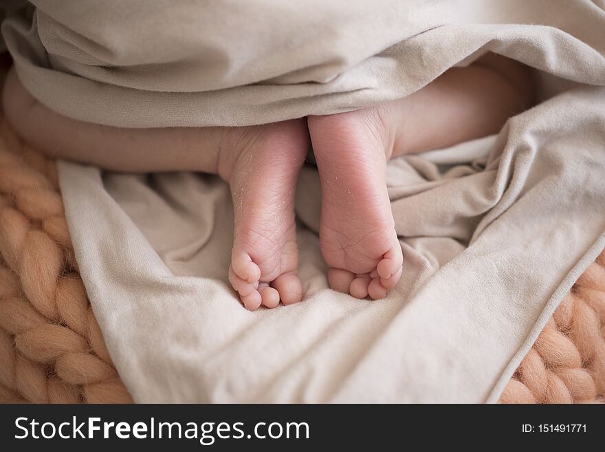 Baby feet in newborn photography, little feet of a newborn baby. Baby feet in newborn photography, little feet of a newborn baby