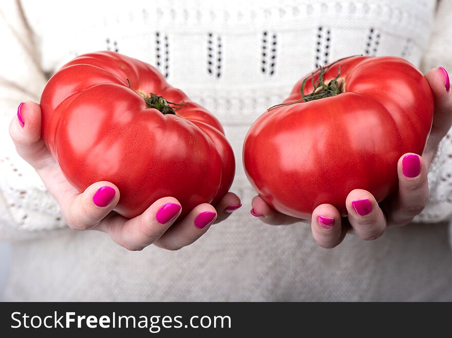 Two ripe tomatoes in the palms of the girl. Pink manicure on the nails of the girl