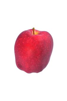 Red Apple Royalty Free Stock Photos