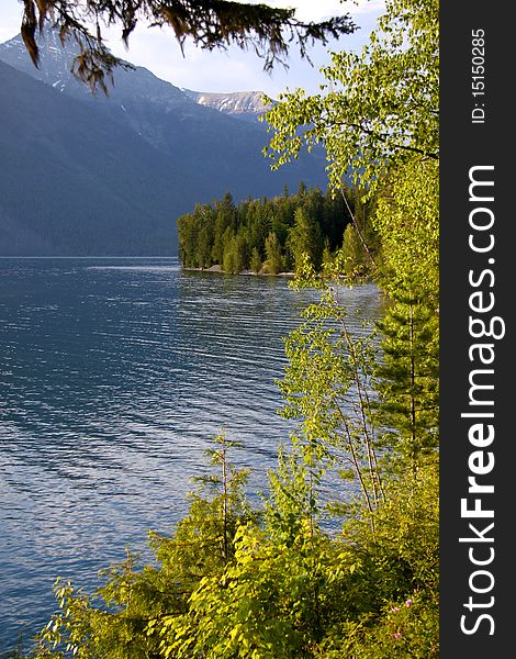 Lake McDonald tree reflections in Glacier national park