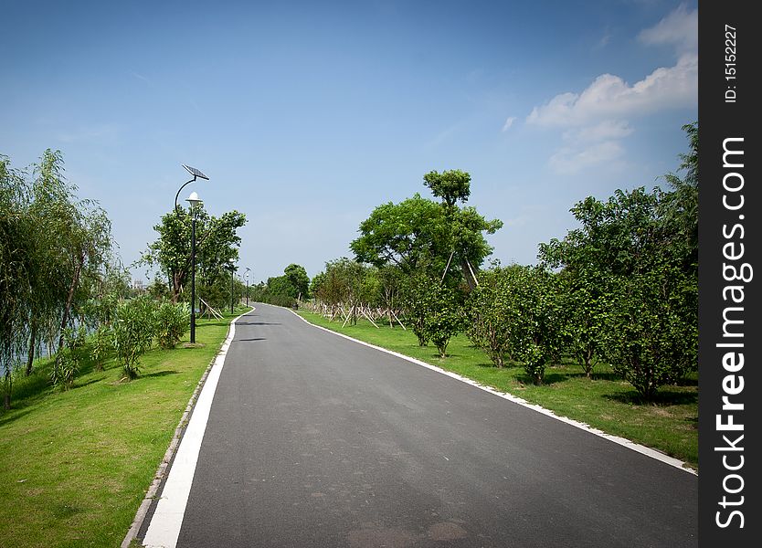 Tree and long road