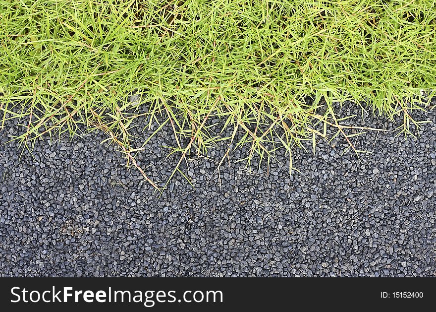 Garden stone with grass growing up between the stones