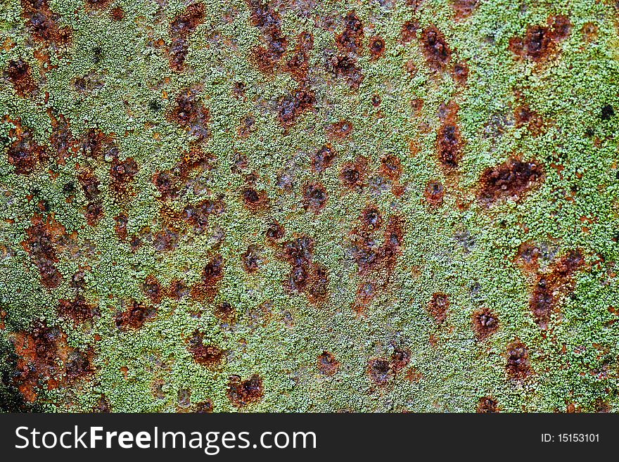 IT is rusty Corrugated Iron Fence.