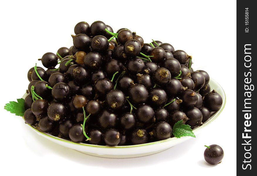 lot of dark magenta black currant on china saucer, black berries on a white background. lot of dark magenta black currant on china saucer, black berries on a white background