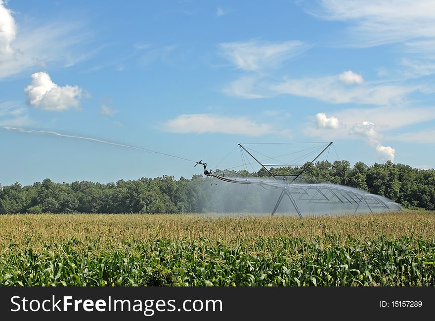 Irrigating A Corn Field