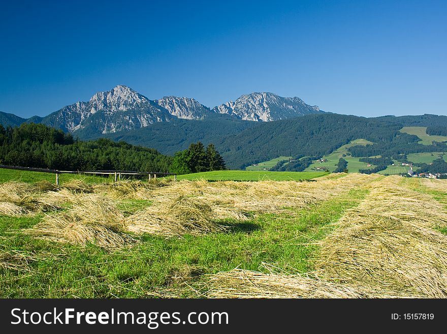 Bavarian landscape with beautiful mountains and corn field. Bavarian landscape with beautiful mountains and corn field