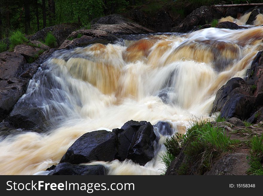 Forest Waterfall