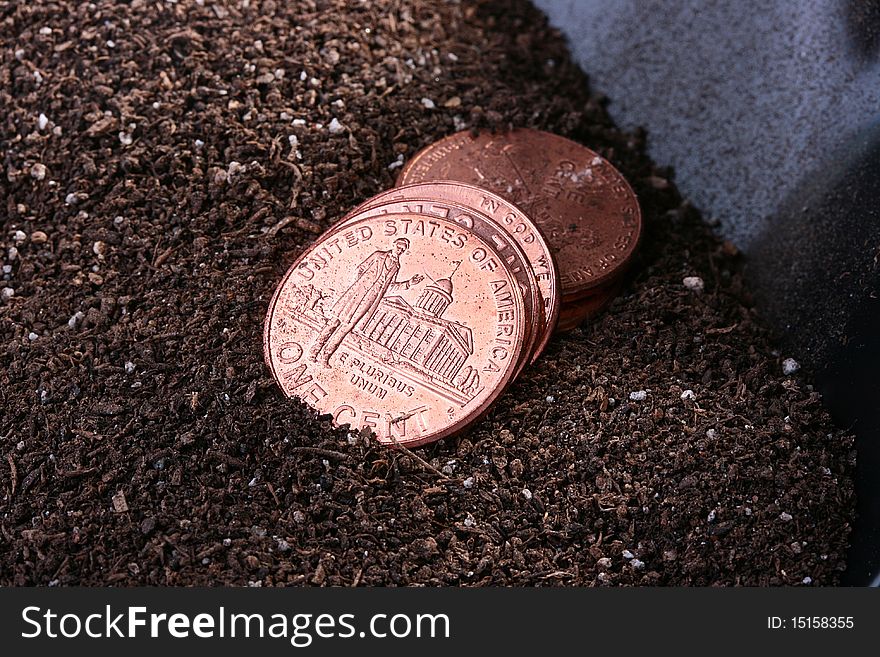 Some the American cents on a ground before a shovel.