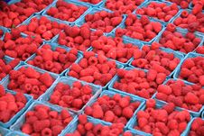 Pints Of Red Raspberries Royalty Free Stock Images Pints Of Red Raspberries Royalty Free Stock Images
