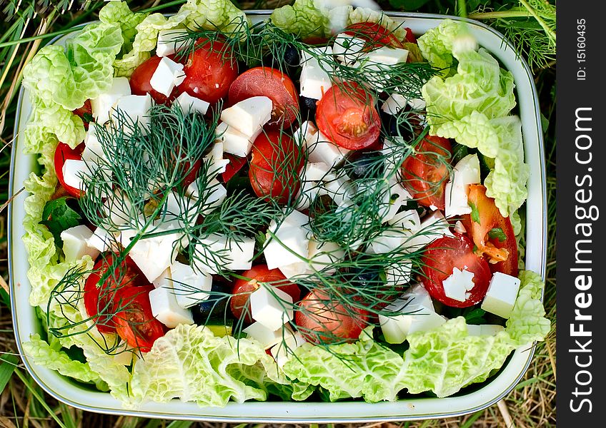 Dish with fresh vegetables, red tomato whith fennel and brynza