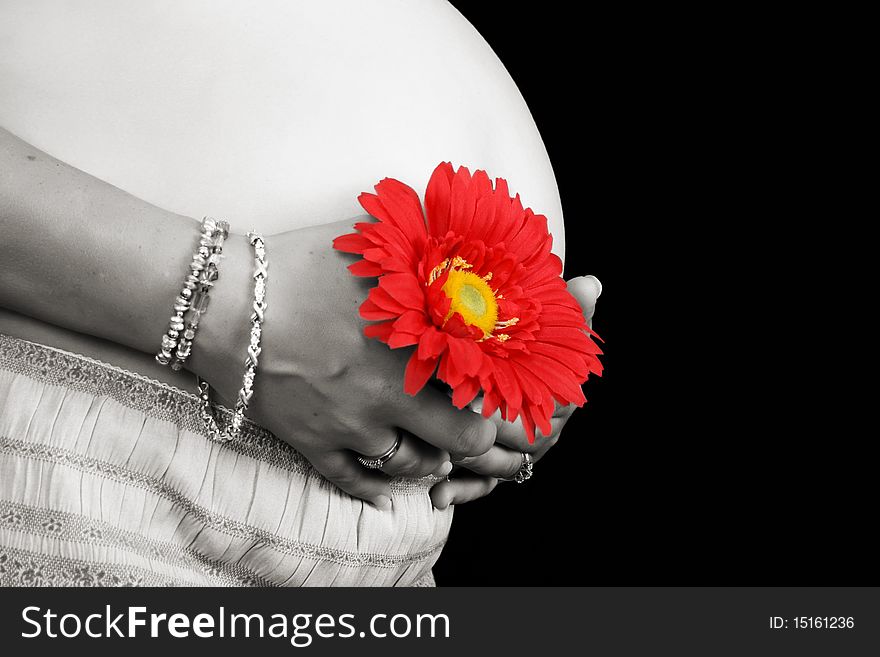 Pregnant mother holding a red flower against her belly