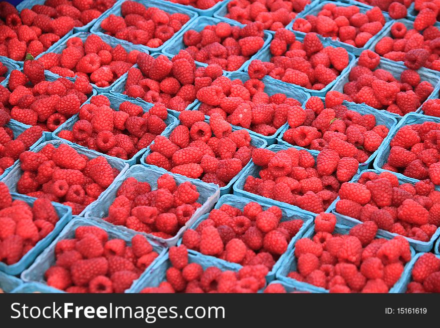 Fresh Oregon ripe red raspberries. Fresh Oregon ripe red raspberries