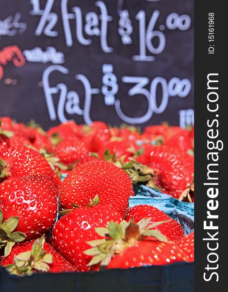 Baskets of Ripe Red Oregon Strawberries. Baskets of Ripe Red Oregon Strawberries