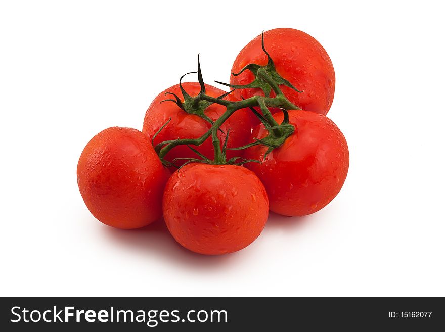 Five red tomatoes with drops of water isolated on white