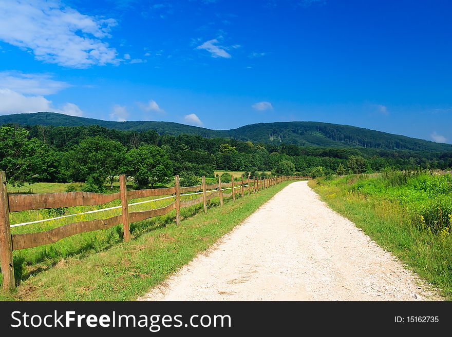 White road with blue sky in a green forest. White road with blue sky in a green forest