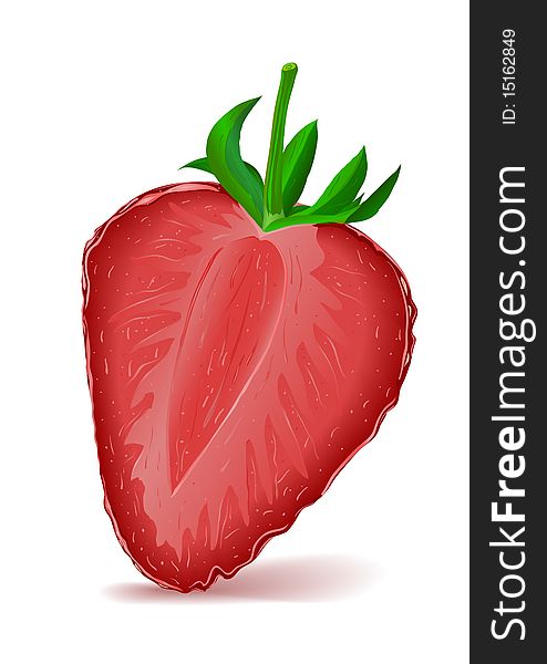 Realistic illustration of Strawberry Segment.