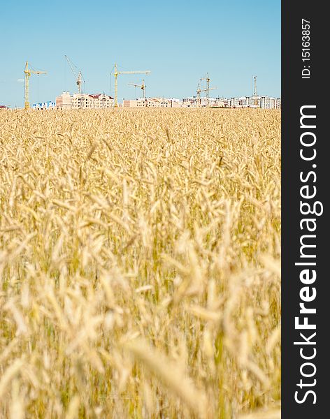 Construction In The Wheat Field.