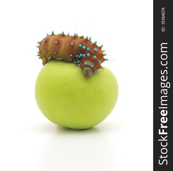 Brown caterpillar and apple on white background