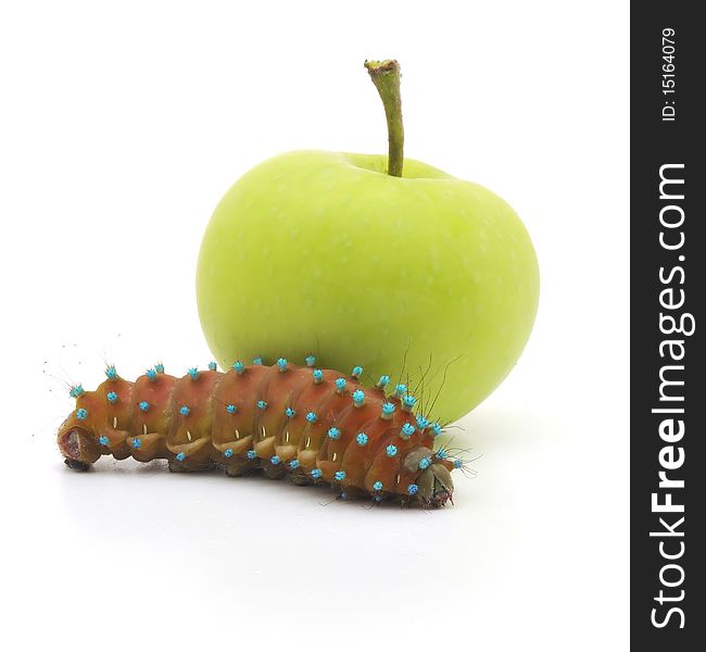 Brown caterpillar and apple on white background