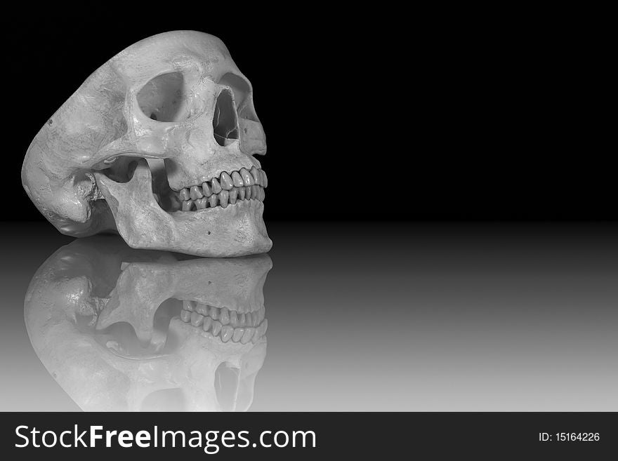 An HDR image of a human skull on glass with a reflection. An HDR image of a human skull on glass with a reflection.