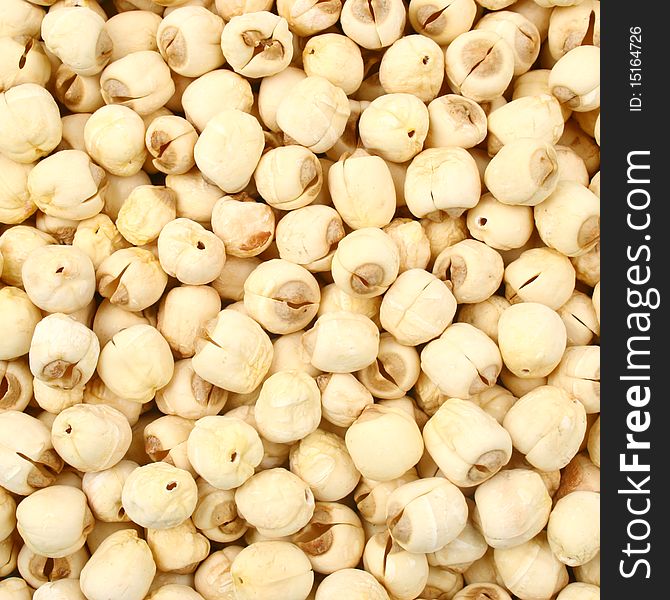 The lotus seeds on white background