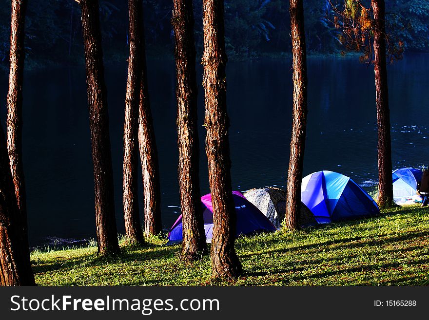 Camping on the mountain in thai