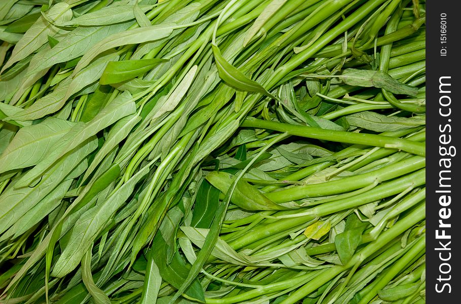Water spinach, also called water morning glory, a vegetable frequently used in Southeast Asian cooking. One of the most famous dishes is Pak Bung Fai Daeng or Fried Morning Glory which is usually fried over a strong, open fire. Water spinach, also called water morning glory, a vegetable frequently used in Southeast Asian cooking. One of the most famous dishes is Pak Bung Fai Daeng or Fried Morning Glory which is usually fried over a strong, open fire.