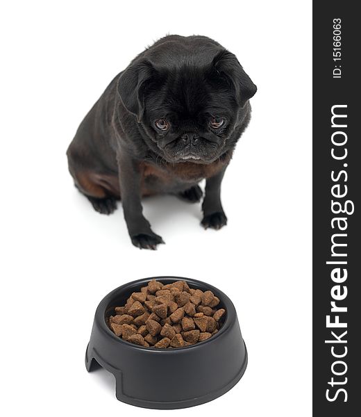 A black Pug and a dog bowl isolated against a white background