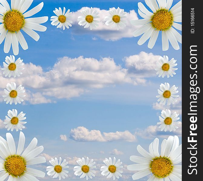 Frame of daisies on a background of cloudy sky