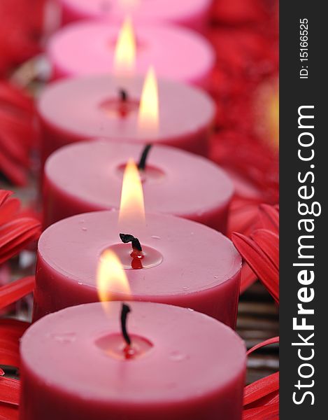 Row of red candles with petals