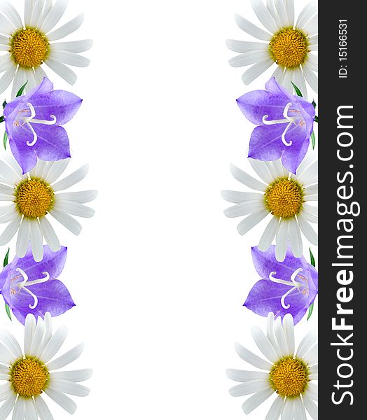 Border of flowers on a white background