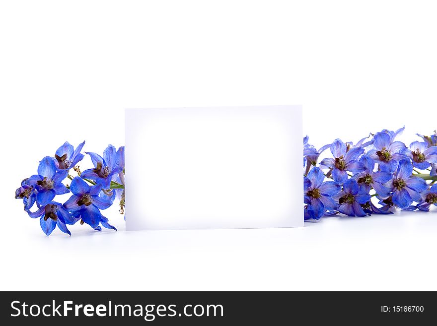 Greeting card for congratulations with flower on a white background