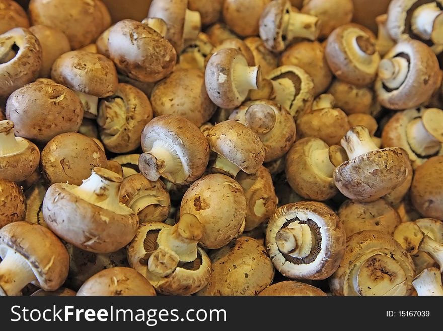 Mushrooms in a farmers' market. Mushrooms in a farmers' market