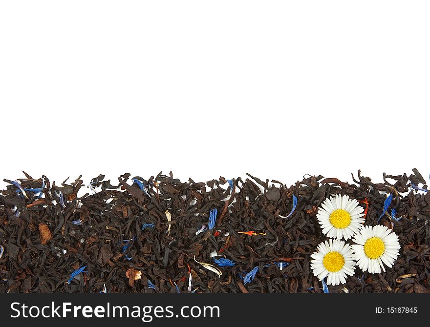 Three camomile flowers on the dry tea leaves background