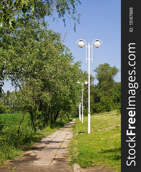 Path in a city park with trees