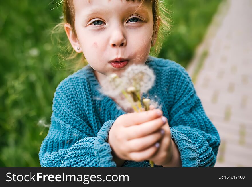 Beautiful cute boy in the park blowing on dandelion in summer time