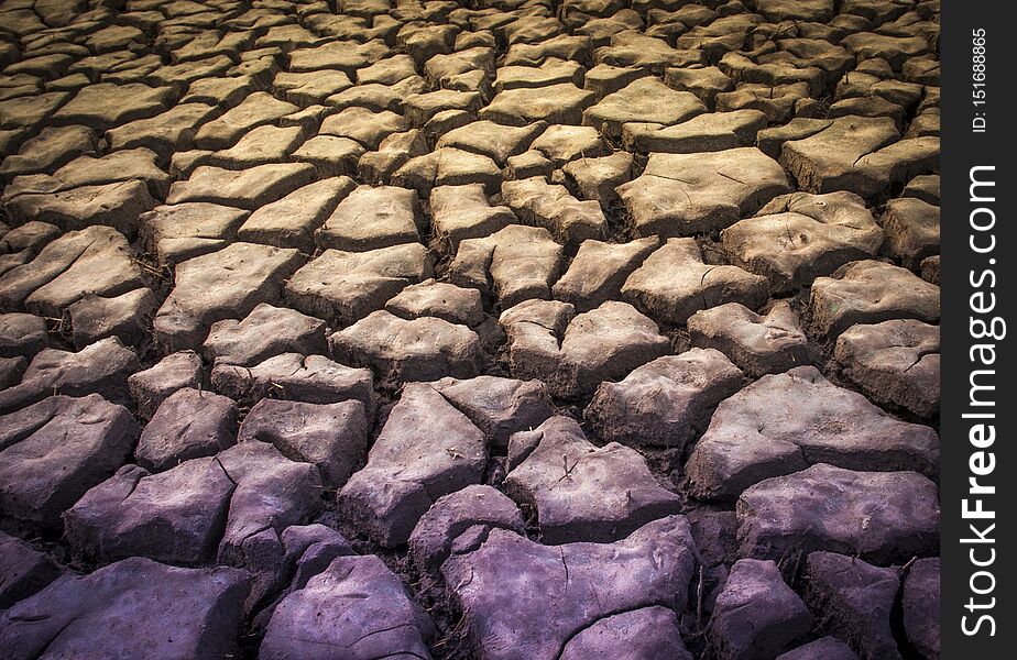 Dry soil background.La Pampa Argentina