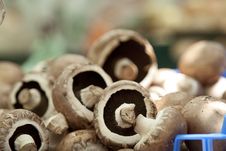 Heap Of Portobello Mushrooms, Landscape Stock Photo Heap Of Portobello Mushrooms, Landscape Stock Photo