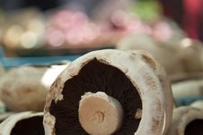 Portobello Mushroom At Market Royalty Free Stock Photo Portobello Mushroom At Market Royalty Free Stock Photo