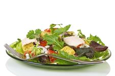Green Salad With Chicken Breast Stock Photography Green Salad With Chicken Breast Stock Photography