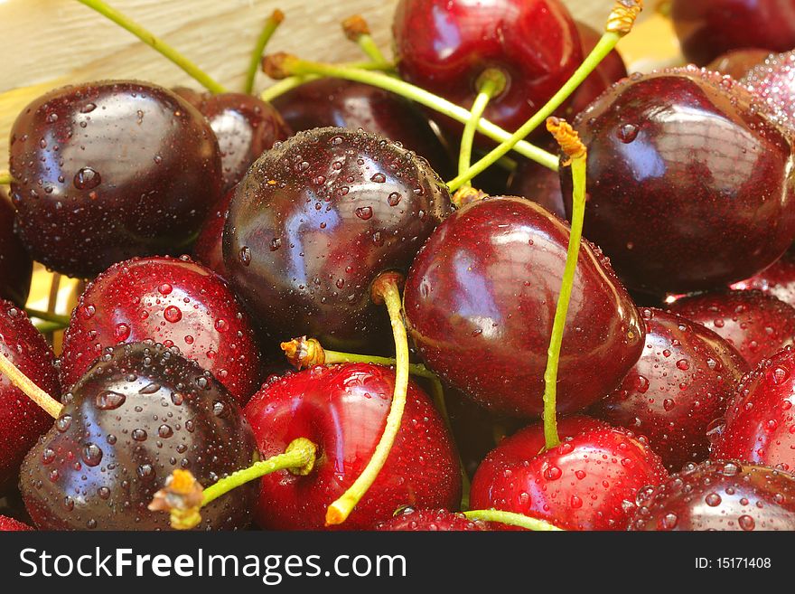 Sweet cherries with drops of water as a close-up.