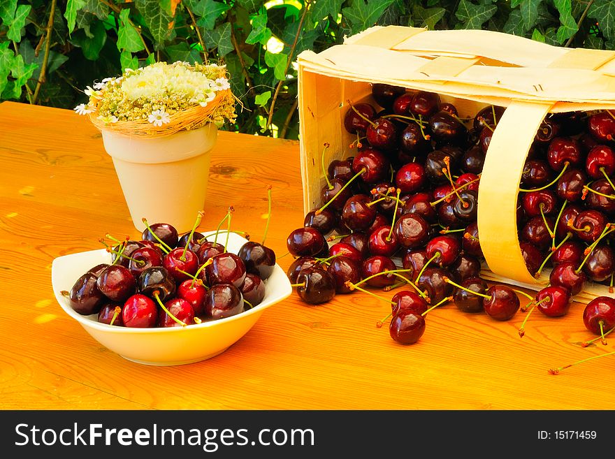 Sweet cherries with drops of water as a close-up.